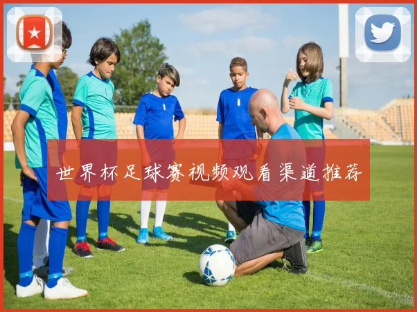 世界杯足球赛视频观看渠道推荐
