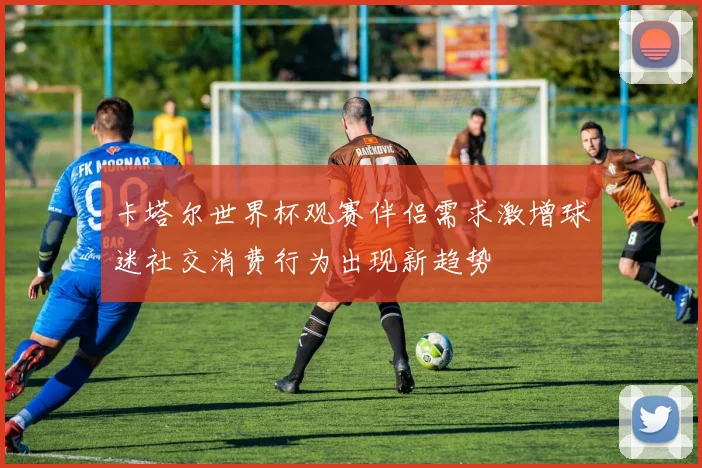 卡塔尔世界杯观赛伴侣需求激增球迷社交消费行为出现新趋势